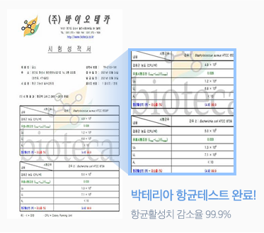 bacteria 항균시험성적서