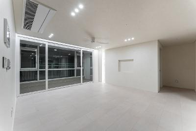 디자인 율