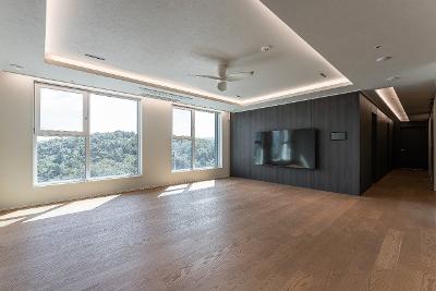 디자인 율